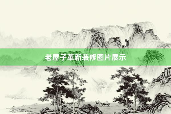 老屋子革新装修图片展示