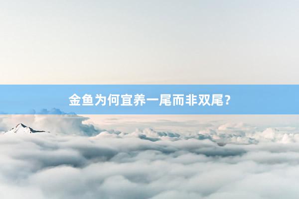 金鱼为何宜养一尾而非双尾？