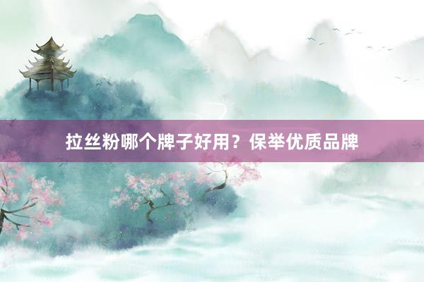 拉丝粉哪个牌子好用？保举优质品牌