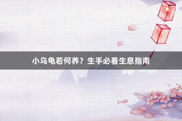 小乌龟若何养?生手必看生息指南